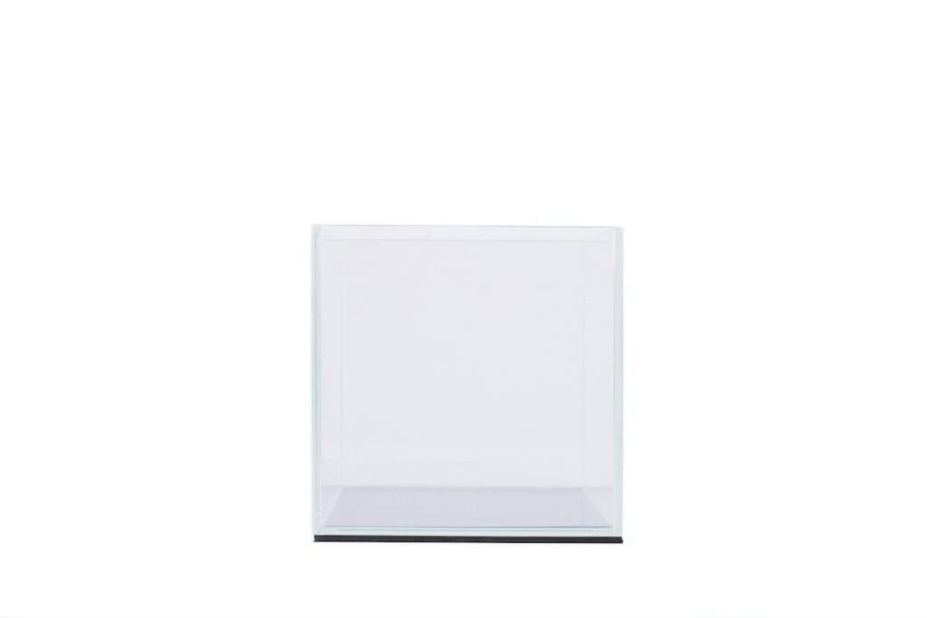 8" Cube