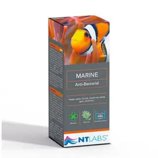 NT Labs Marine Anti Bacterial | 500ml - NT Labs Marine Anti Bacterial, marine fish bacterial treatment, saltwater fish medicine India, treat marine ulcers, marine fin rot cure, NT Labs aquarium treatment, saltwater fish antibacterial, marine aquarium medicine for ulcers
