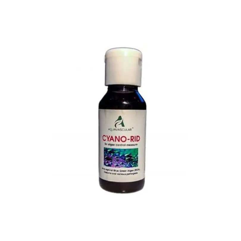 Buy Aquavascular Cyano-Rid, cyanobacteria remover aquarium, blue green algae treatment, aquarium cyano solution, freshwater cyano remover India, planted tank cyanobacteria control, aquarium slime algae remover, shrimp safe cyano treatment, aquarium bacterial algae cleaner, aquascape cyano elimination