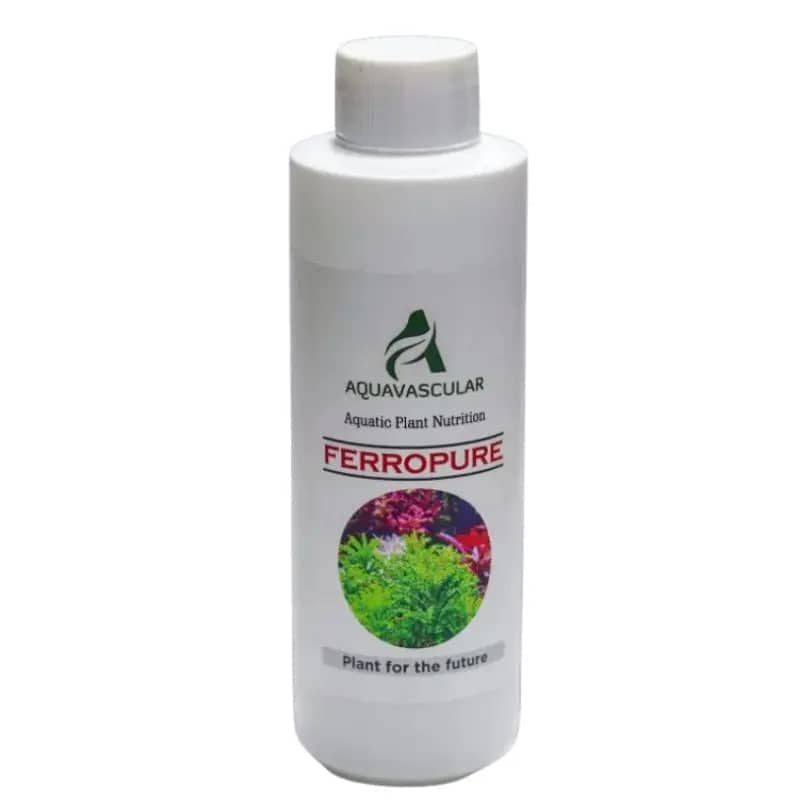 Buy Aquavascular Ferropure, aquarium iron fertilizer India, planted tank iron supplement, liquid iron aquarium plants, aquarium plant micronutrients, iron deficiency aquarium plants, red plant fertilizer India, aquarium plant colour booster, freshwater planted tank fertilizer, aquarium plant growth enhancer
