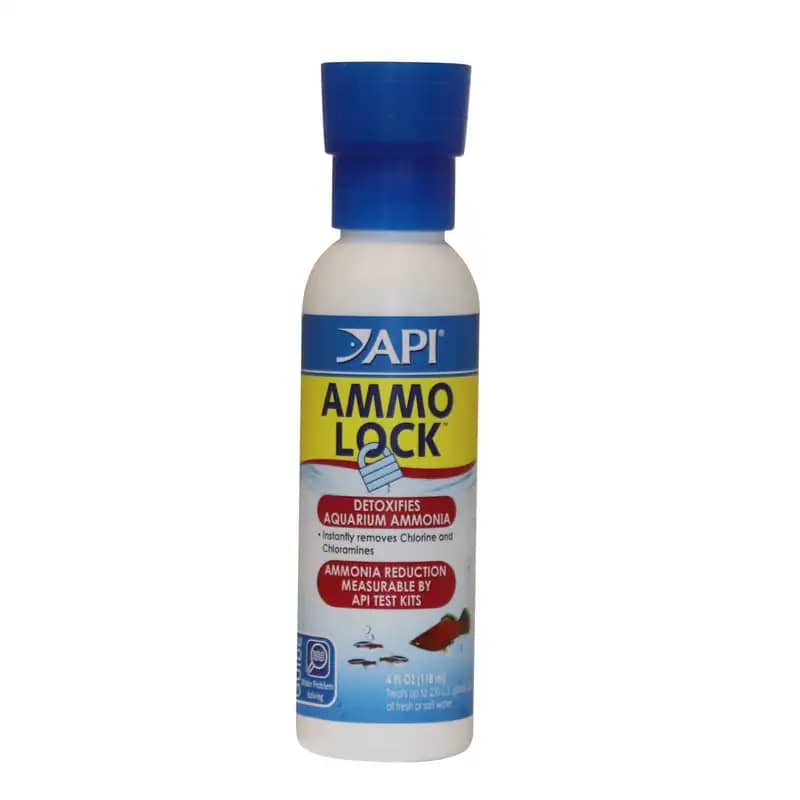 Buy API Ammo Lock 118ml Online India, aquarium ammonia remover India, ammonium detoxifier for fish tank, API ammonia treatment price India, ammonia spike solution aquarium, freshwater ammonia neutralizer, saltwater ammonia detoxifier, fish tank emergency ammonia treatment, API water conditioner India