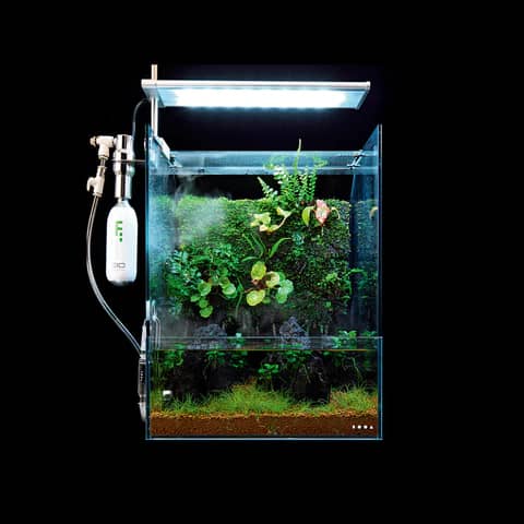 DOOA System TERRA 30 Mistflow Set