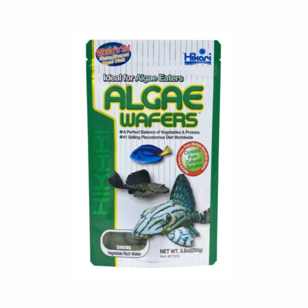 Buy Hikari Tropical Algae Wafers, buy hikari fish food, best aquarium fish food