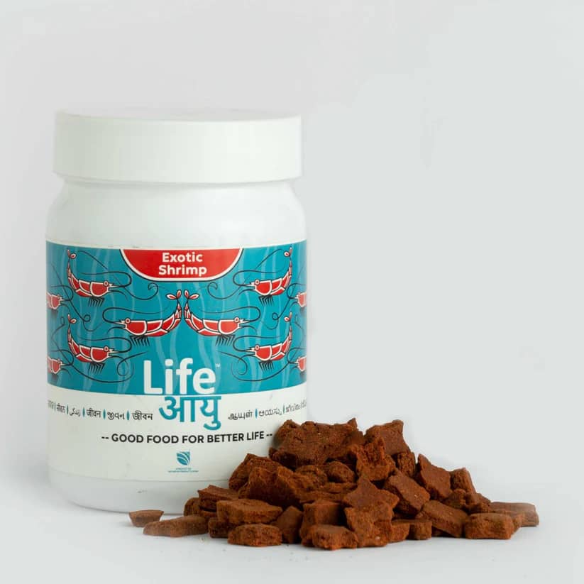 Buy Life AAYU Shrimp Premium, premium shrimp food India, Neocaridina food, Caridina shrimp diet, shrimp molting support food, sinking shrimp pellets, spirulina shrimp food, dwarf shrimp diet, shrimp colour enhancing food, aquarium shrimp food premium
