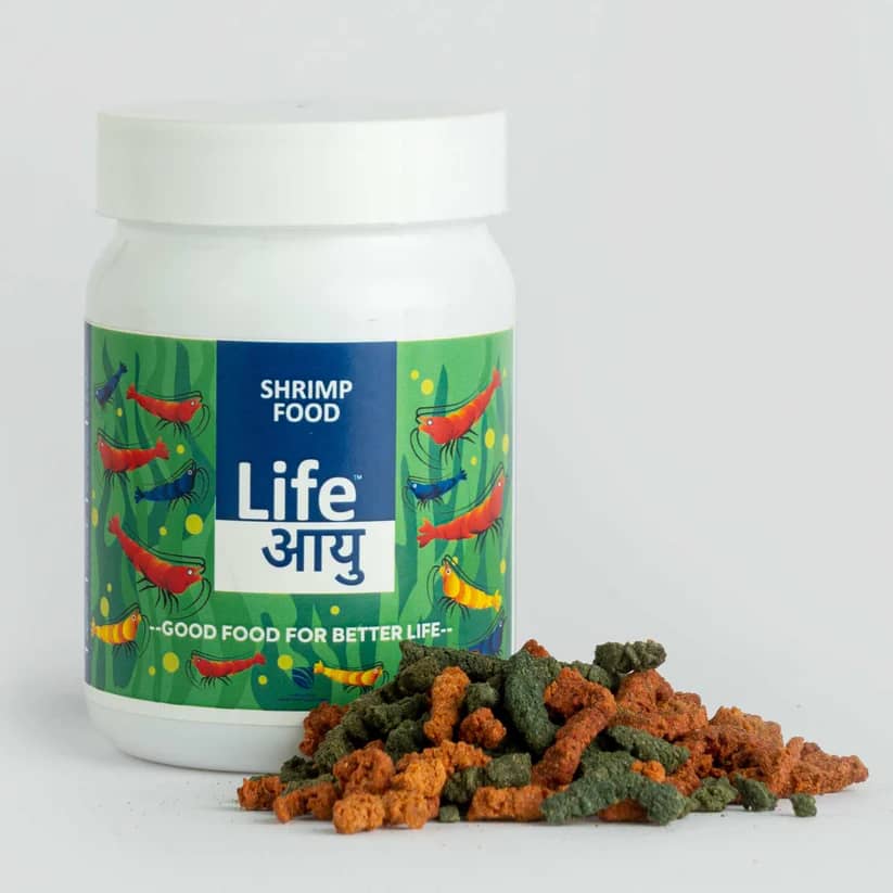 Buy Life AAYUH Shrimp Regular, shrimp food India, 15g shrimp food, 30g shrimp food, neocaridina food, caridina shrimp diet, daily shrimp pellets, spirulina shrimp food, sinking shrimp pellets, aquarium shrimp food India