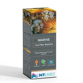 NT Labs Marine Live Filter Bacteria | 100ml - NT Labs Marine Live Filter Bacteria, marine aquarium bacteria India, saltwater fish tank cycling, remove ammonia from marine tank, marine nitrifying bacteria, new tank syndrome cure marine, saltwater filter bacteria supplement, best bacteria for marine aquarium India