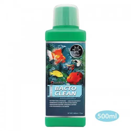 Buy MydiLabs BactoClean, aquarium bacterial starter, nitrifying bacteria aquarium, fish tank cycle starter, beneficial bacteria additive, freshwater bacteria booster, saltwater cycle aid, biological filtration starter, BactoClean aquarium product, aquarium maintenance bacteria