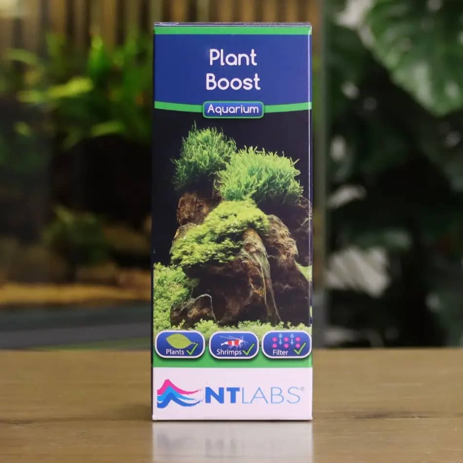 NT Labs Plant Boost, NT Labs Plant Boost fertiliser, aquarium plant fertiliser, liquid fertiliser for aquarium plants, planted aquarium fertiliser, aquatic plant nutrients, aquarium trace element fertiliser, freshwater plant fertiliser, aquascaping fertiliser, Nature Aquarium fertiliser, planted tank fertiliser India, aquarium liquid fertiliser, aquarium plant food, micronutrient fertiliser for aquarium plants, fertiliser for stem plants, fertiliser for carpeting plants, shrimp safe aquarium fertiliser, aquatic plant growth supplement, aquarium fertiliser India, NT Labs aquarium products