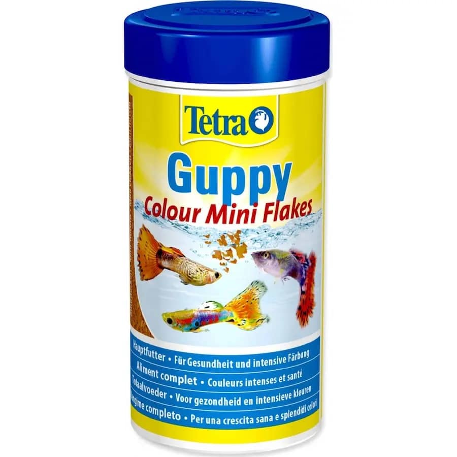 Buy Tetra Guppy Colour Mini Flakes, guppy food India, Tetra Guppy Flakes 30g, color enhancing fish flakes, guppy food for bright colors, small fish flakes India, best food for guppies, Tetra mini flakes for tropical fish, fish food for mollies and endlers, guppy color food online