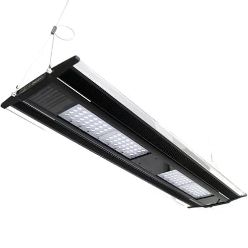 Zetlight QMaven Q6 aquarium light, Zetlight Q6 60 90 120, Zetlight planted tank light India, LED aquarium light for planted tank, full spectrum aquarium light India, Zetlight aquarium lighting India, planted aquarium LED light, aquascaping light India, aquarium light for 60cm 90cm 120cm tank, professional aquarium lighting India
