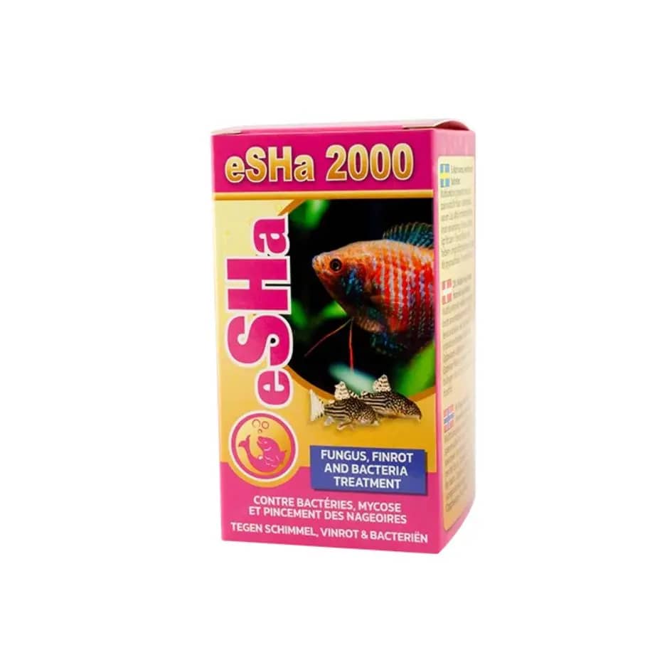 Buy eSHA 2000 India, aquarium medicine for fin rot, broad spectrum fish treatment, fungal infection fish treatment India, bacterial infection aquarium cure, eSHA medication India, fish tank disease treatment, aquarium fungal cure India, community tank safe medication, eSHA 2000 for planted tanks