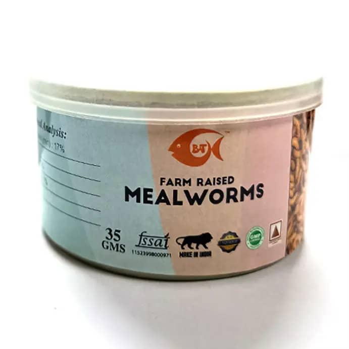 Buy Bubbles N Troubles Canned MealWorms - 35g