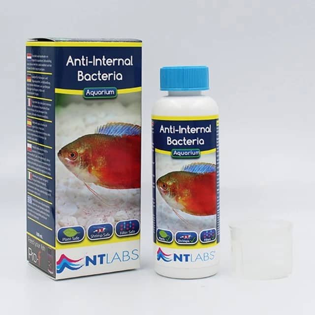 NT Labs Aquarium Anti-Internal Bacteria, fish internal bacteria treatment India, Pseudomonas Aeromonas Vibrio treatment for fish, aquarium medicine for clamped fins, fish red blotches treatment, NT Labs fish medicine, internal bacterial infection cure for aquarium fish, fish lethargy treatment