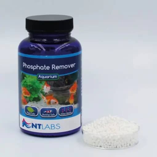 NT Labs Phosphate Remover | 180g - NT Labs Phosphate Remover, aquarium phosphate remover, freshwater algae control, chemical filter media, phosphate remover 180g, shrimp tank phosphate remover, planted aquarium filter media, reduce algae growth, NT Labs aquarium products, buy phosphate remover India