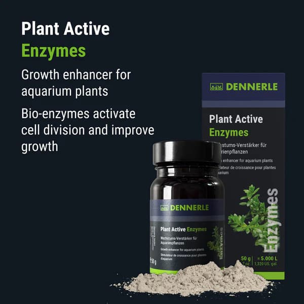 Buy Dennerle Plant Active Enzymes, aquarium plant enzyme additive, planted aquarium biological activator, aquarium plant growth enhancer India, enzyme treatment for planted tank, Dennerle plant enzymes dosage, freshwater aquarium plant care, improve nutrient uptake aquarium plants, planted tank enzyme solution