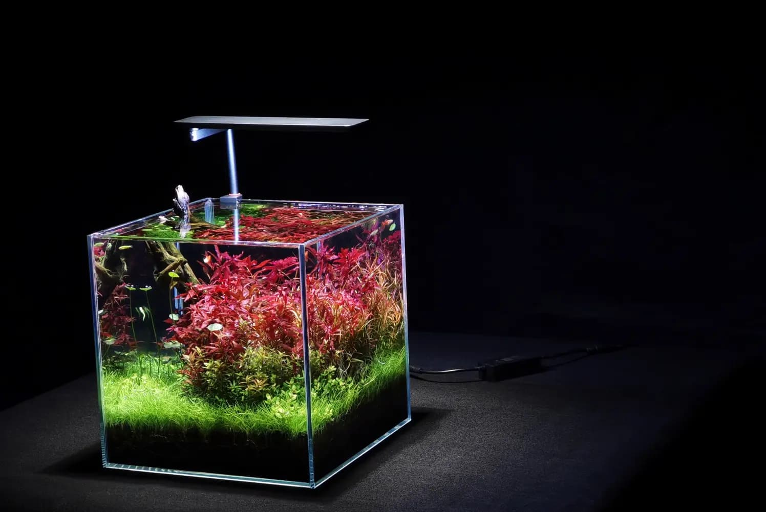RGBW nano LED, aquarium nano light, LEDSTAR AQ-N II, nano tank LED light, bluetooth aquarium light, full spectrum nano aquarium light, IP68 nano LED, 20cm aquarium light, 45cm nano aquarium light, high CRI aquarium light, planted nano tank LED, aquarium light with app control, AQ STAR app LED, compact aquarium LED