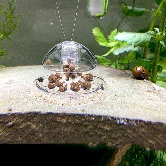 Clear Aquarium Snail Trap