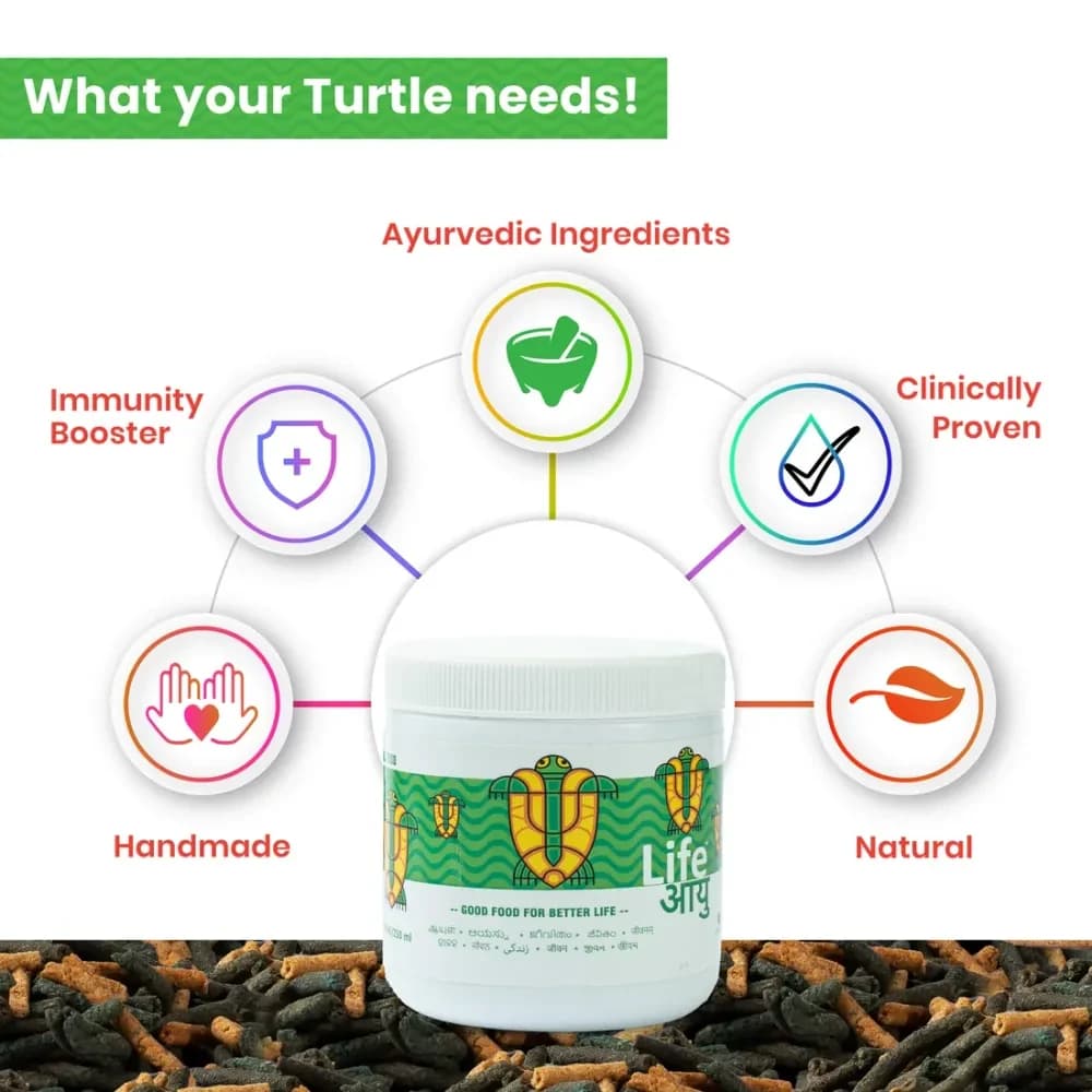 Life AAYU Adult Turtle Food