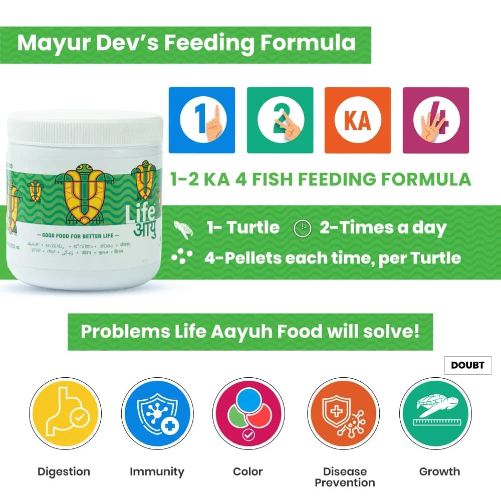 Life AAYU Adult Turtle Food