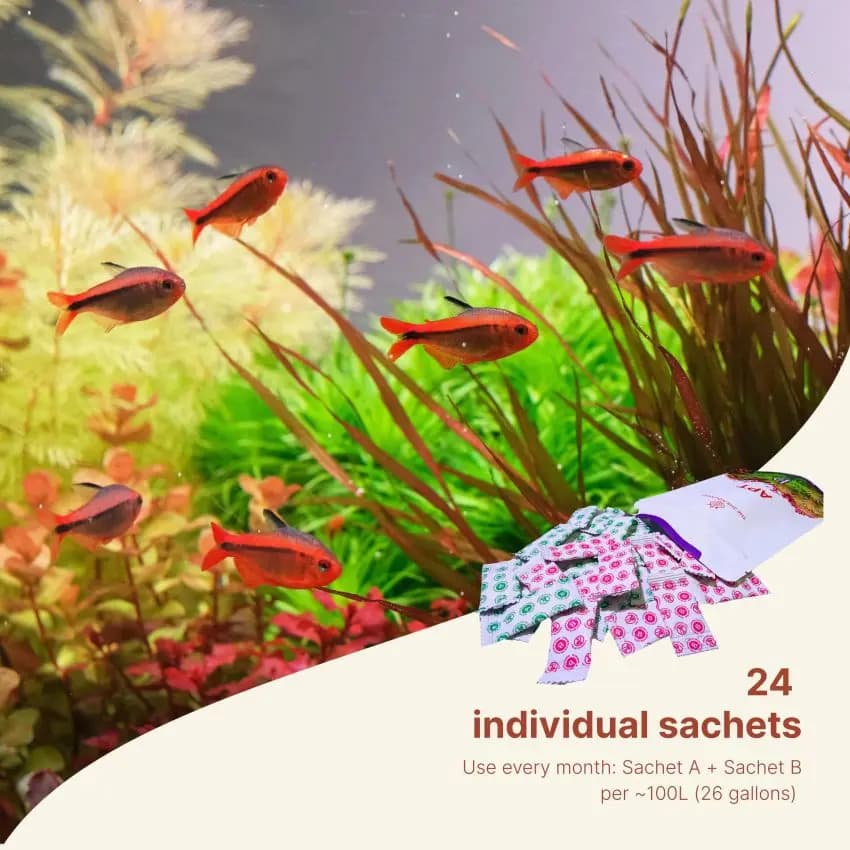 2Hr Aquarist APT Balance, aquarium bacteria booster, aquasoil cycling bacteria, planted tank microbial supplement, aquarium nitrifying bacteria, tank stability booster, aquascape starter bacteria, aquarium maintenance bacteria, microbial balance aquarium