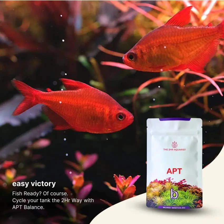 2Hr Aquarist APT Balance, aquarium bacteria booster, aquasoil cycling bacteria, planted tank microbial supplement, aquarium nitrifying bacteria, tank stability booster, aquascape starter bacteria, aquarium maintenance bacteria, microbial balance aquarium