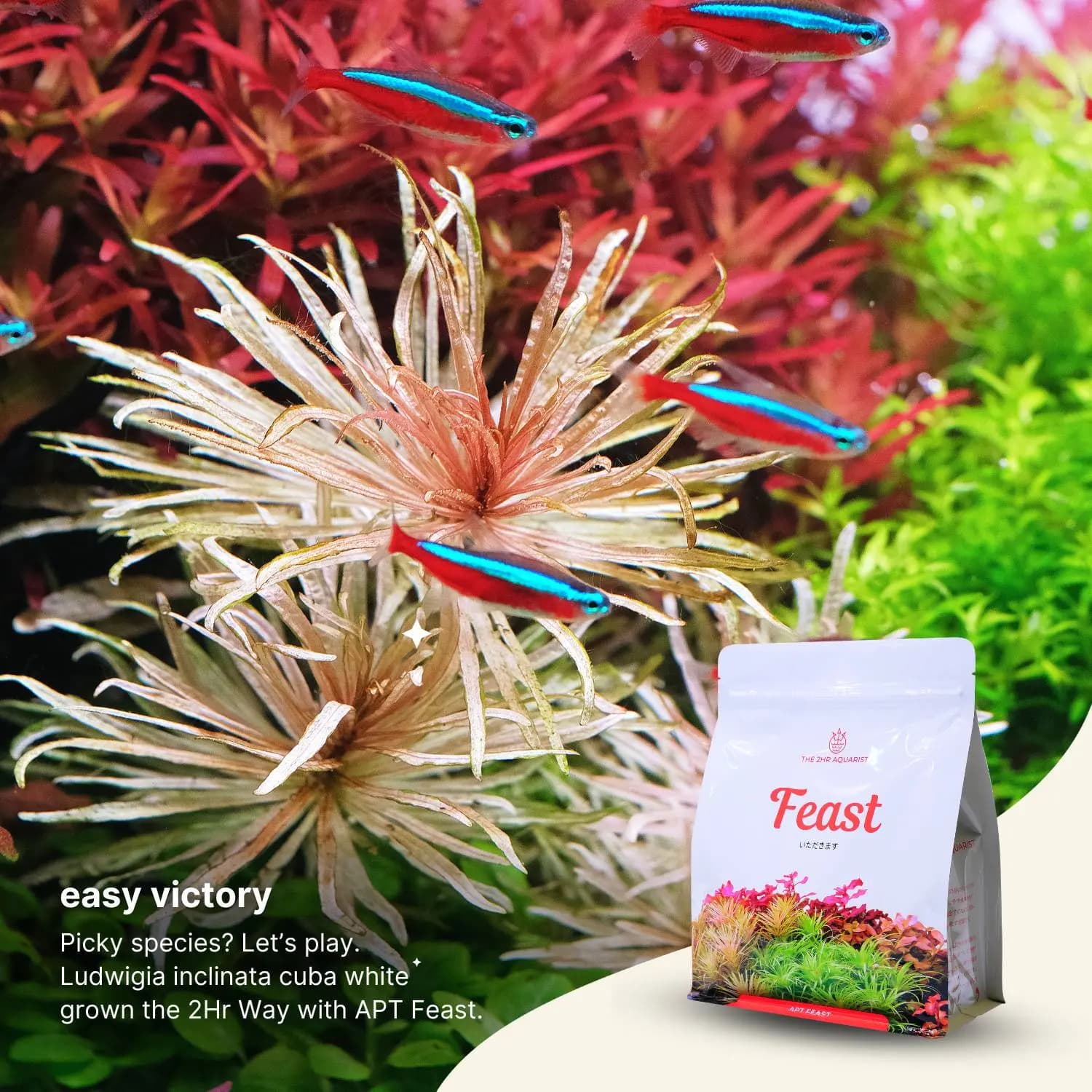 APT Feast, APT Feast aquasoil, 2Hr Aquarist aquasoil, nutrient dense aquasoil, premium aquasoil Japan, plant substrate, high nitrogen aquasoil, long-lasting aquasoil, pH buffering substrate, planted aquarium soil, sustainable substrate, aquascaping soil, APTJazz compatible, APT Feast dark start