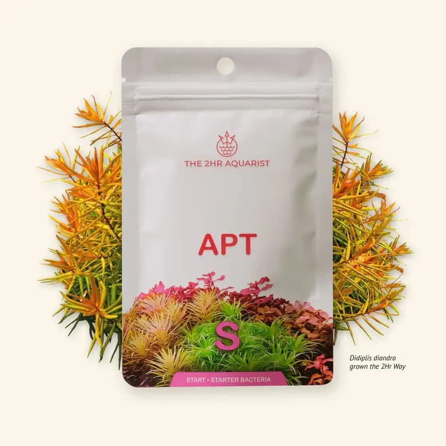 APT Start, substrate booster, aquarium bacteria starter, planted tank cycling, aquasoil additive, new tank setup, aquascaping startup kit, bacterial inoculant aquarium, ammoniacal nitrogen substrate, root zone fertiliser, 2Hr Aquarist substrate booster, tank startup solution