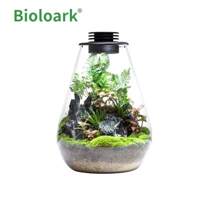 Bioloark Eco Bottle Tear Drop Terrarium | SD Series