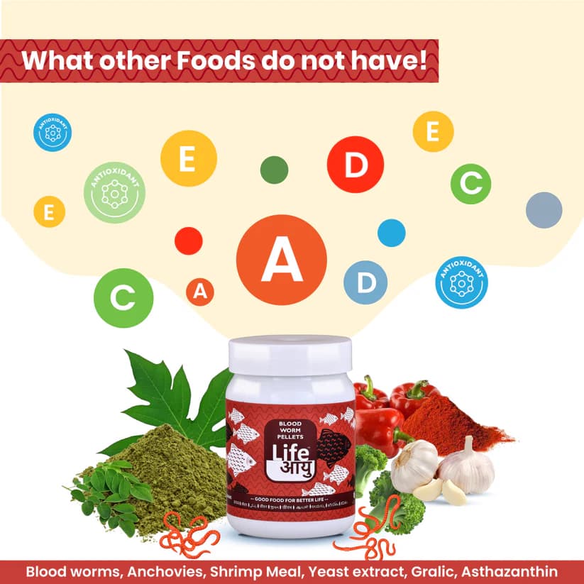 Buy Life Aayu Blood Worm Pellets, bloodworm pellets India, fish treat bloodworms, high protein fish food, floating bloodworm pellets, tropical fish bloodworm food, 45g bloodworm pellets, 90g bloodworm pellets, betta bloodworm pellets, cichlid treat food, aquarium treats India