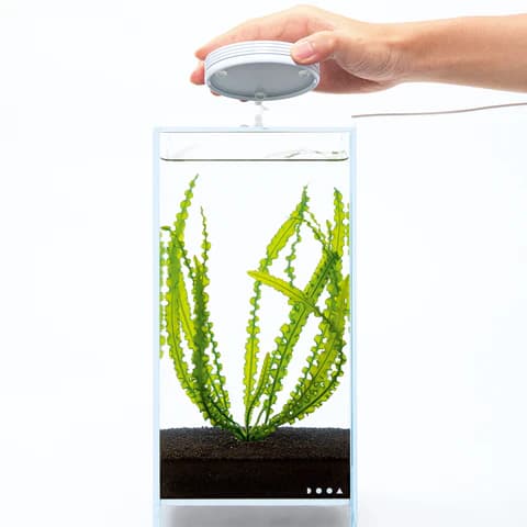 DOOA Magnet Light G