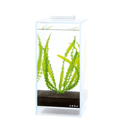 DOOA Magnet Light G