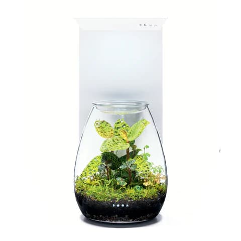 DOOA Magnet Light G