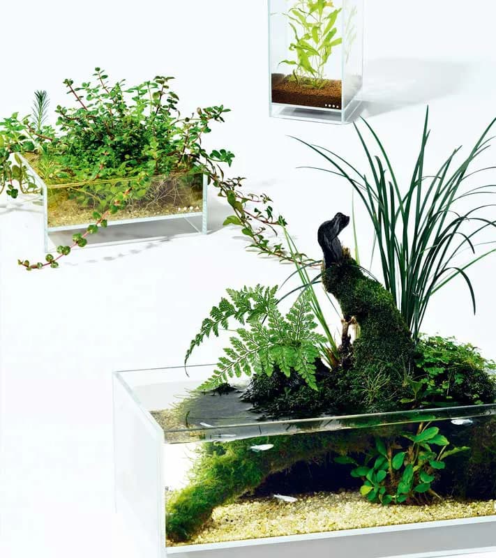 DOOA Neo Glass AIR W20×D20×H30 (cm)