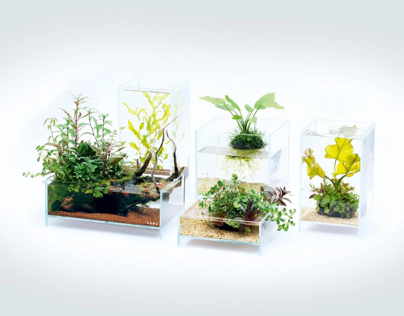 DOOA Neo Glass AIR W20×D20×H20 (cm)