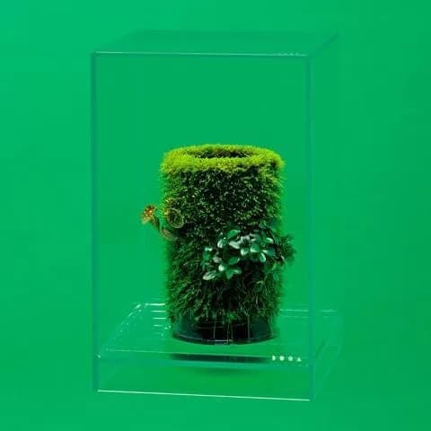 DOOA Neo Glass AIR W20×D20×H30 (cm)