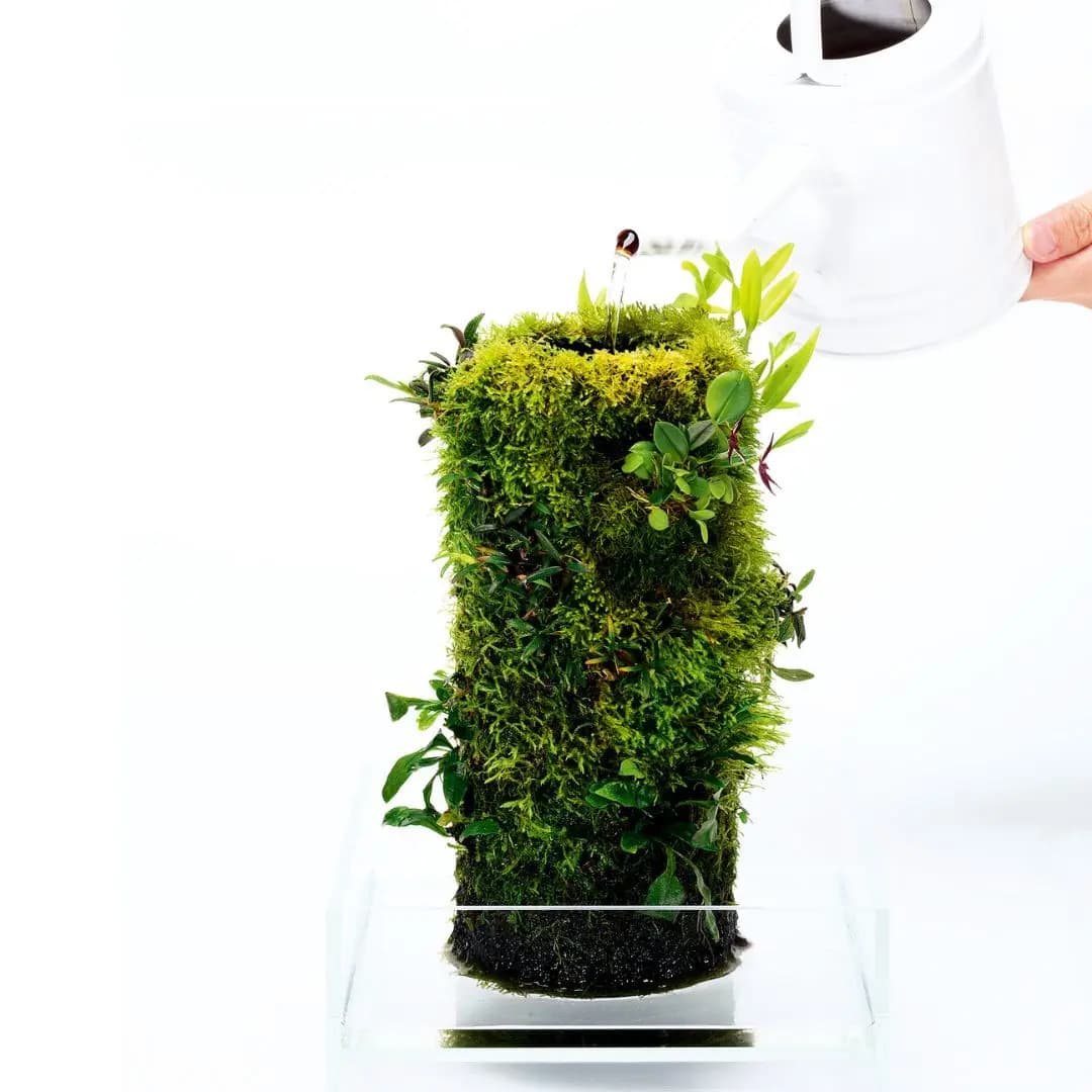 Buy DOOA Terra Base, DOOA Terra Base India, ceramic plant mount terrarium, epiphyte mount for moss, moss tower India, terrarium accessories India, paludarium plant base, vertical ceramic plant holder, DOOA epiphyte base sizes, Terra Base S M L dimensions
