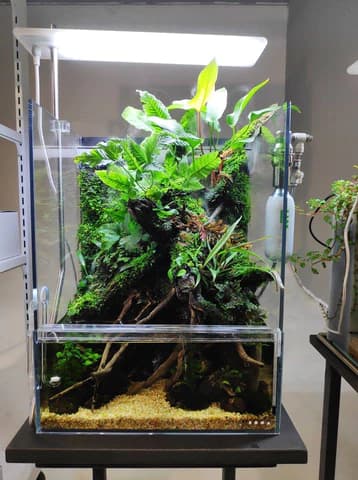 DOOA CO2 System Kit
