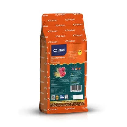 Intan Flower Horn Pellets - Big | Floating Fish Food - Intan Flower Horn Pellets Big, Flowerhorn fish food India, Kok growth fish food, Kamfa cichlid floating pellets, best food for Flowerhorn head hump, astaxanthin fish food for colour, high protein Flowerhorn food, floating pellets for cichlids India