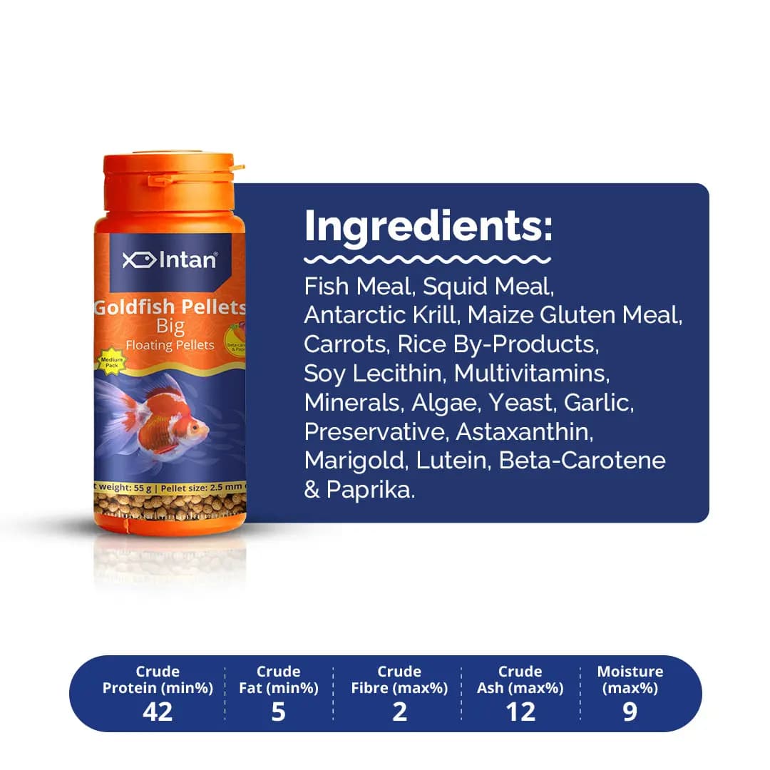 Intan Goldfish Pellets - Big | Floating Fish Food - Intan Goldfish Pellets Big, floating fish food for goldfish India, best goldfish food for colour enhancement, Ryukin Ranchu fish food, natural goldfish pellets no artificial colour, high protein goldfish food India, Intan fish feed 2.5mm pellets, goldfish food for Red Cap and Lionhead