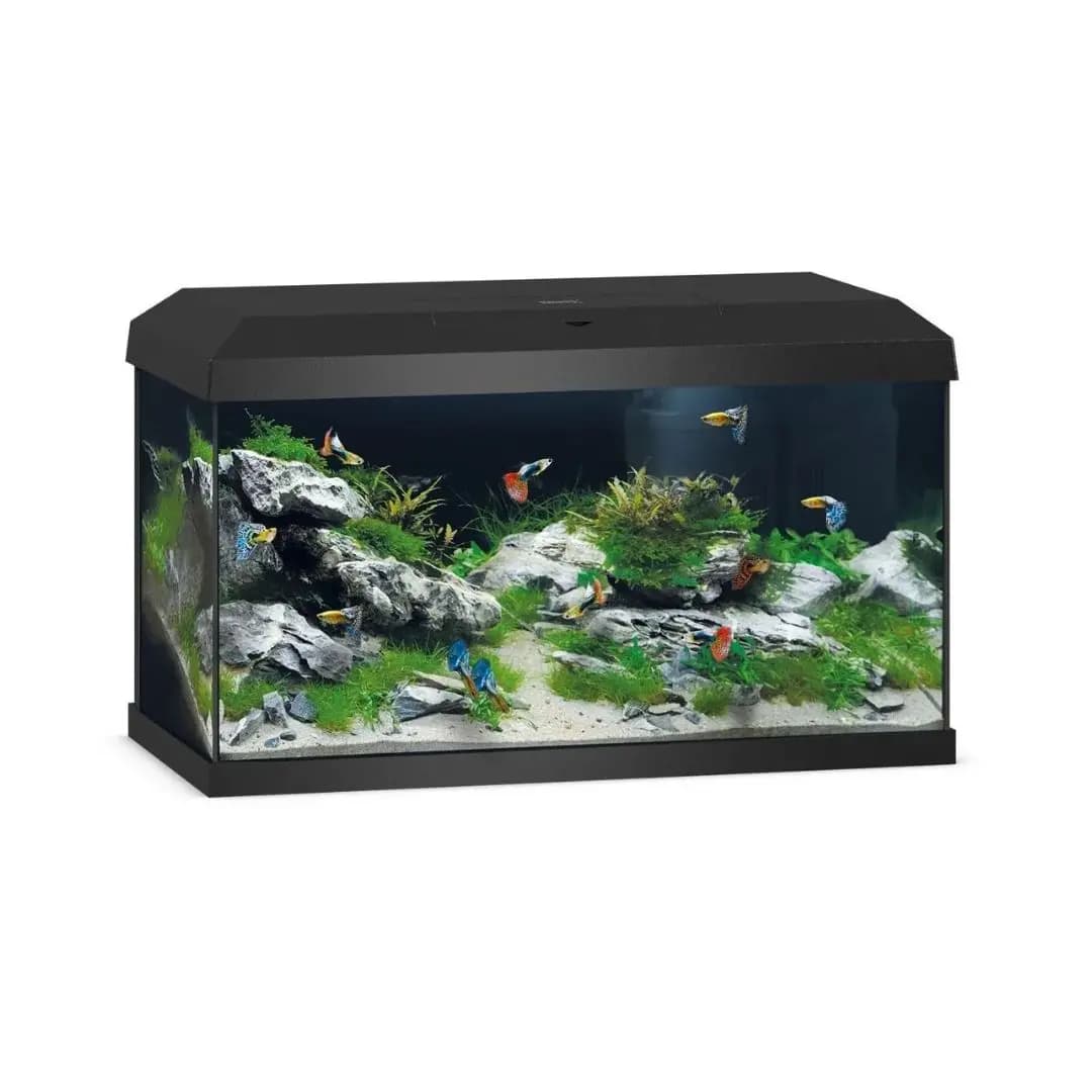 Buy Juwel Primo 60 LED aquarium, Novolux LED lighting, compact LED aquarium, energy-efficient aquarium light, condensation managing aquarium cover, aquariums with feeding hatch, TÜV GS certified aquarium, beginner aquarium setup, small aquarium with LED, JUWEL automatic feeder compatible, high brightness aquarium, efficient aquarium lighting india