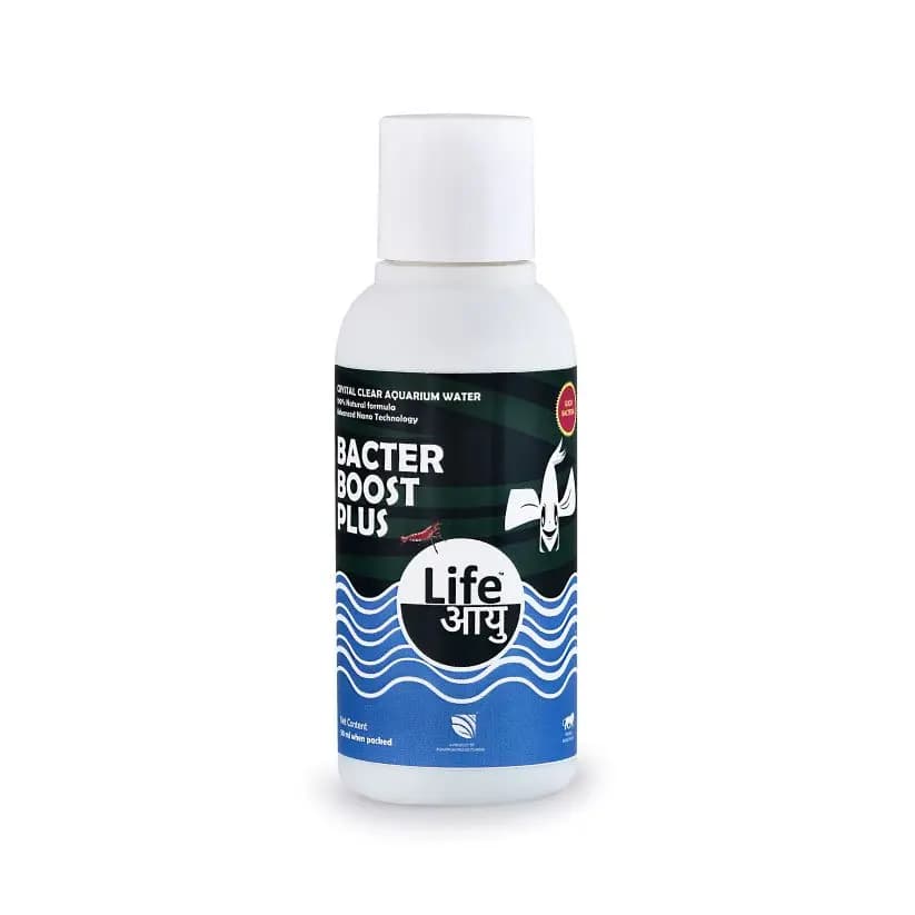 Buy Life AAYU Bacter Boost Plus, aquarium beneficial bacteria India, ammonia control aquarium, natural bacteria starter, shrimp safe bacteria supplement, fish tank cycling liquid, 50ml aquarium bacteria, 100ml aquarium bacteria booster, 200ml fish tank bacteria, clear water bacteria supplement