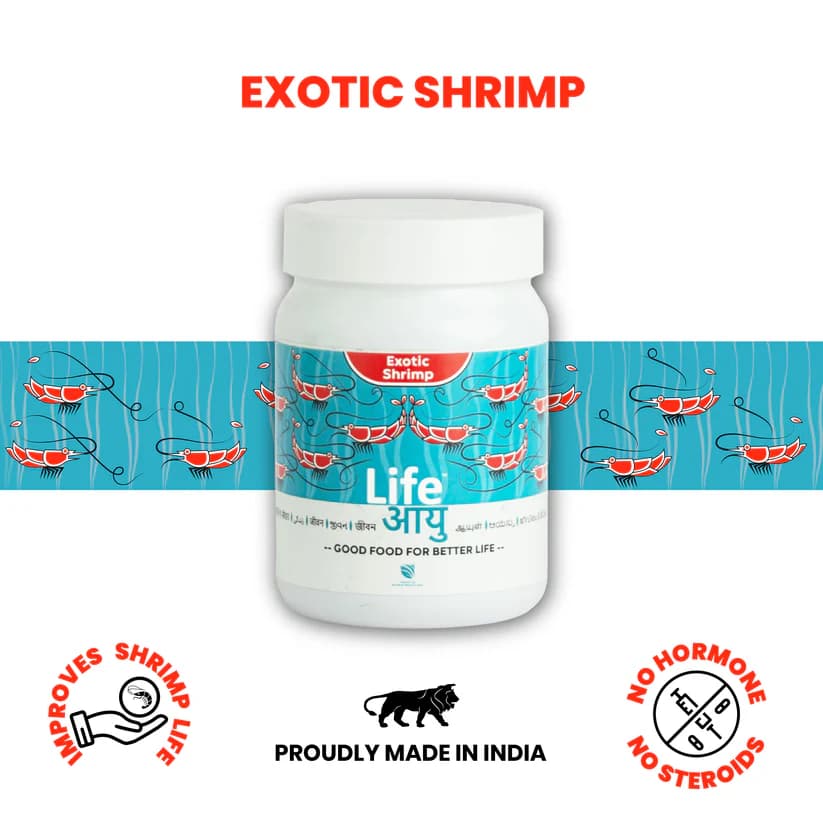 Buy Life AAYU Shrimp Premium, premium shrimp food India, Neocaridina food, Caridina shrimp diet, shrimp molting support food, sinking shrimp pellets, spirulina shrimp food, dwarf shrimp diet, shrimp colour enhancing food, aquarium shrimp food premium