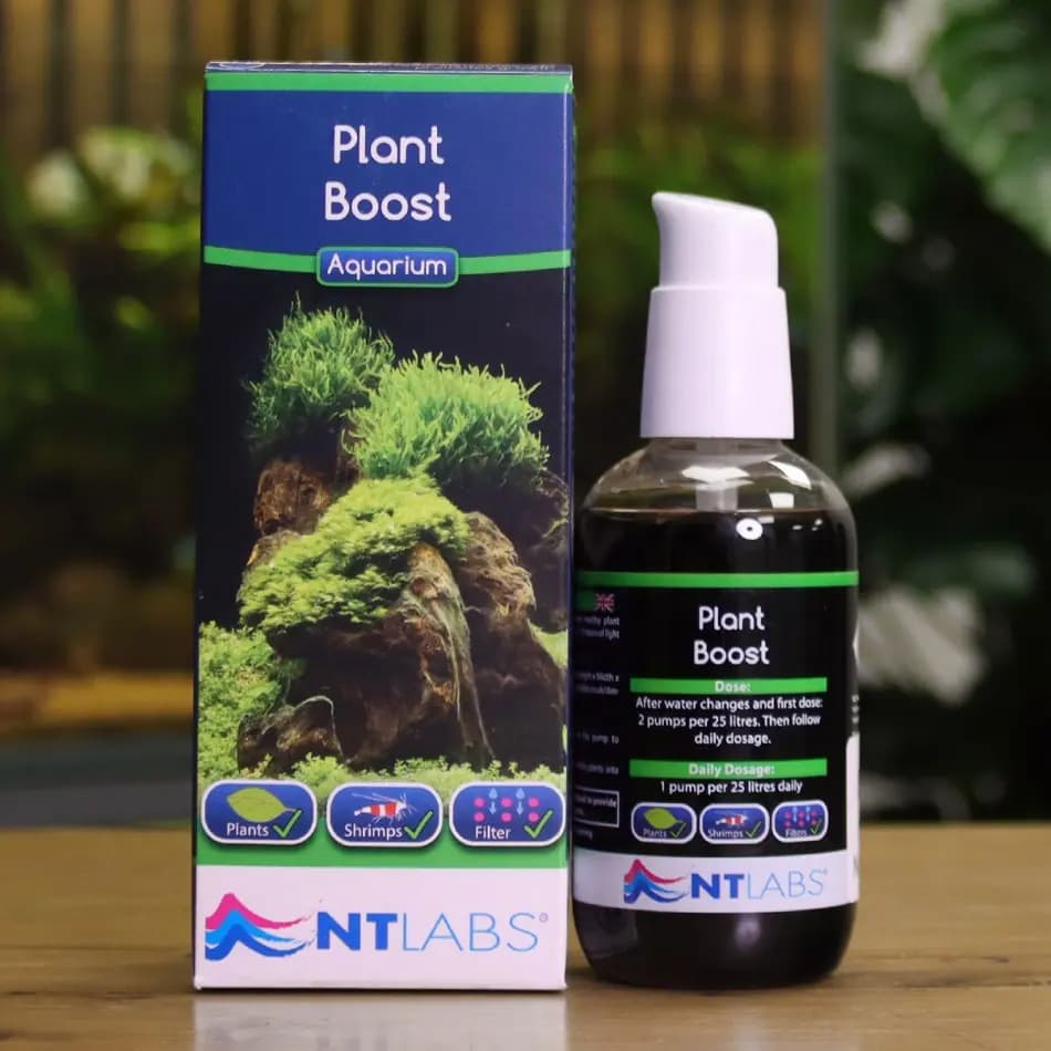 NT Labs Plant Boost, NT Labs Plant Boost fertiliser, aquarium plant fertiliser, liquid fertiliser for aquarium plants, planted aquarium fertiliser, aquatic plant nutrients, aquarium trace element fertiliser, freshwater plant fertiliser, aquascaping fertiliser, Nature Aquarium fertiliser, planted tank fertiliser India, aquarium liquid fertiliser, aquarium plant food, micronutrient fertiliser for aquarium plants, fertiliser for stem plants, fertiliser for carpeting plants, shrimp safe aquarium fertiliser, aquatic plant growth supplement, aquarium fertiliser India, NT Labs aquarium products