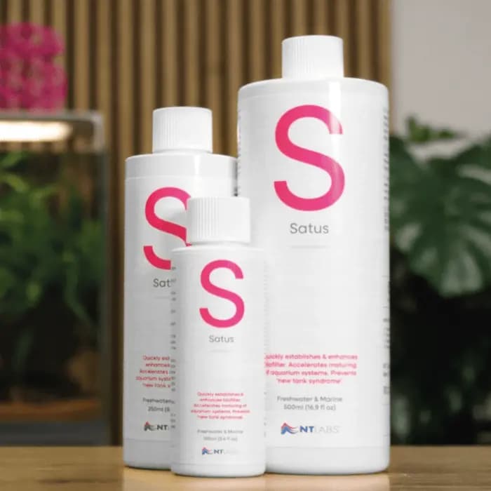 NT LABS Satus Concentrated Beneficial Bacteria | 500ml - NT LABS Satus India, concentrated beneficial bacteria for aquarium, aquarium biofilter starter, prevent new tank syndrome, ammonia remover for fish tank, freshwater and marine bacteria supplement, NT Labs Satus dosage, best bacteria for cycling aquarium India, aquarium nitrifying bacteria, anaerobic bacteria for fish tank