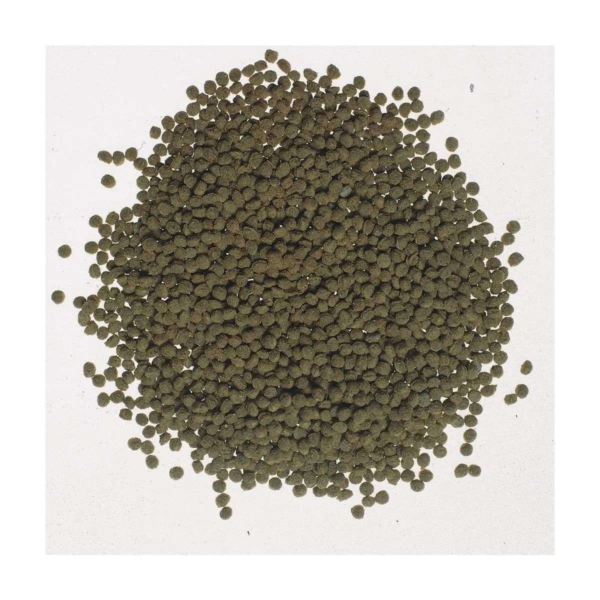 Buy Tetra Goldfish Gold Colour, goldfish food India, Tetra Goldfish Colour 75g, color enhancing goldfish food, best food for fancy goldfish, floating pellets for goldfish, Tetra fish food for goldfish, goldfish diet for bright colors, ornamental goldfish food India, Tetra goldfish pellets online