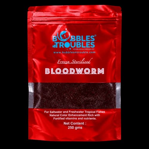 Bloodworms
