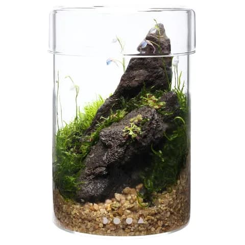 DOOA Glass Pot MARU