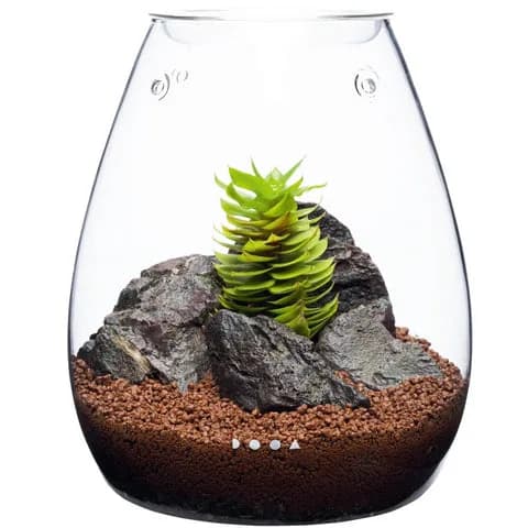 DOOA Glass Pot SHIZUKU