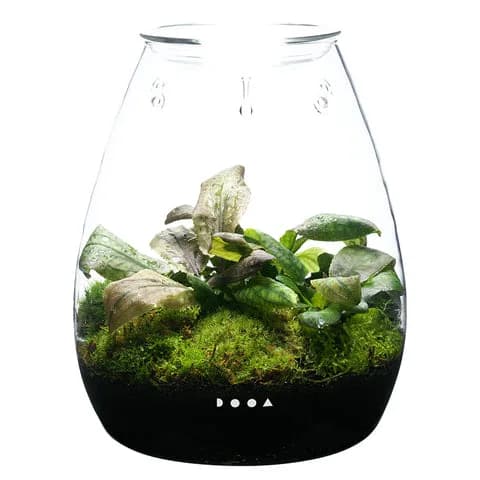 DOOA Glass Pot SHIZUKU