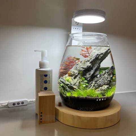 DOOA Glass Pot SHIZUKU